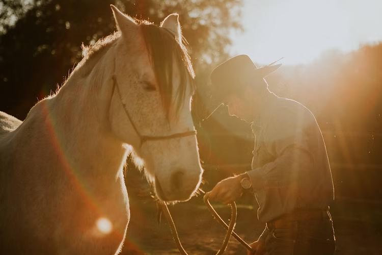 Horsemanship Marco Barba