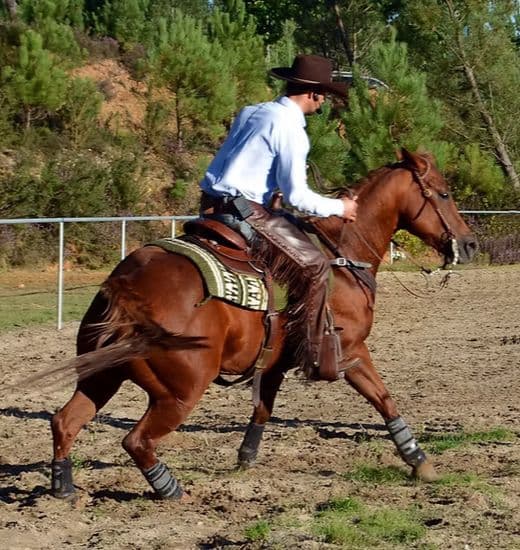 estilo western