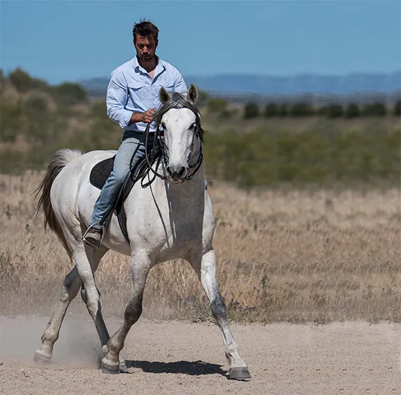 MARCO BARBA TRABAJO CON EL CABALLO