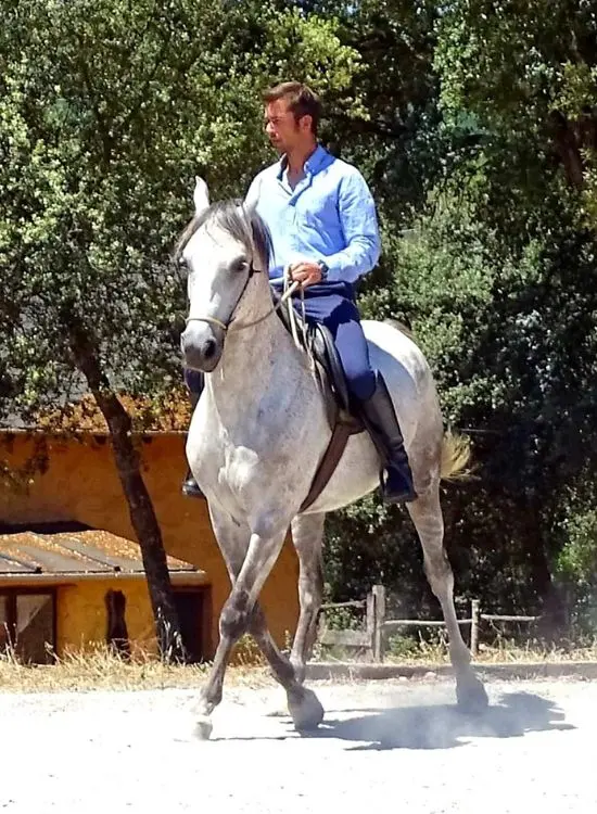 Marco Barba entrenador de caballos