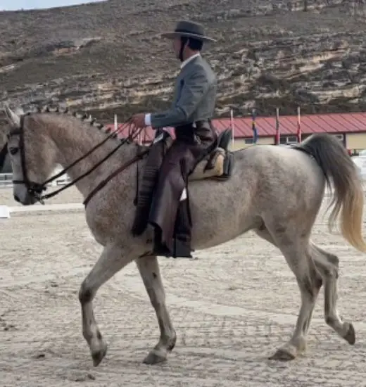 estilo vaquero