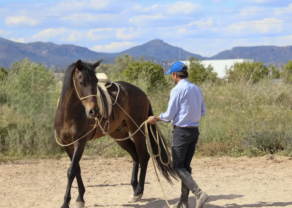 Curso Horsemanship Fundamental